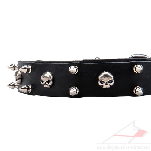 Funky Dog Collar UK