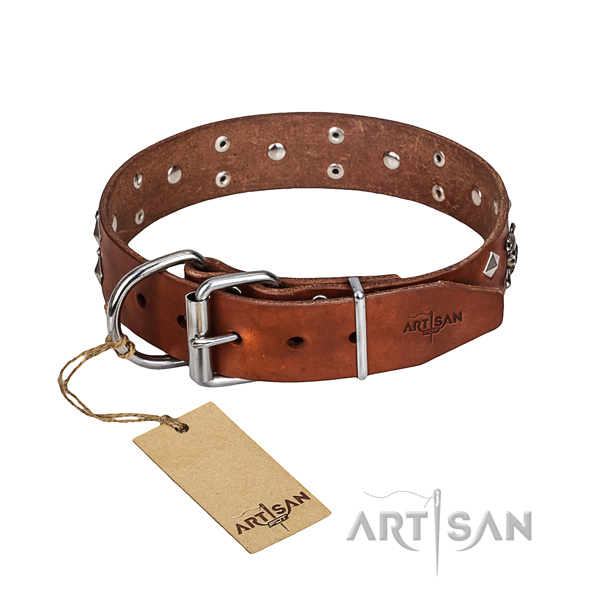 Leather Collar for Dogs buy uk