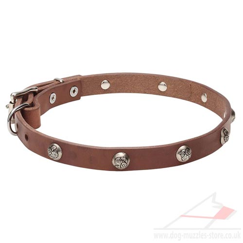 Beautiful Dog Collar Design