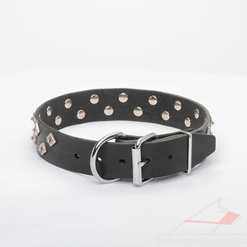 Black Leather Dog Collar with Buckle