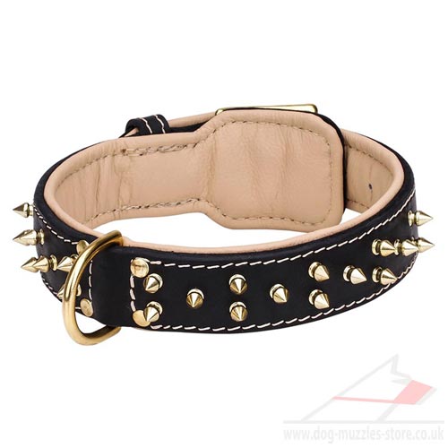 Luxury Spiked Dog Collar