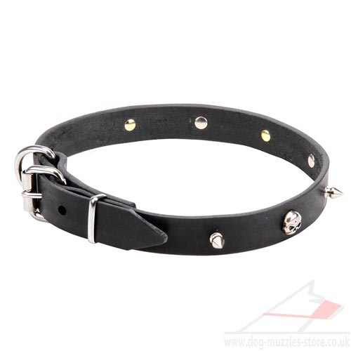 Thin Dog Collar New