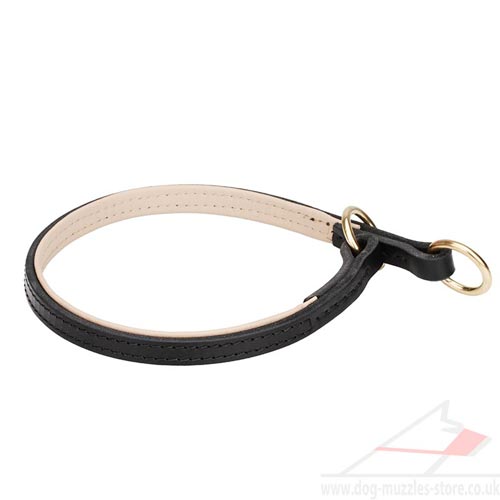 Leather dog collar with soft nappa padding