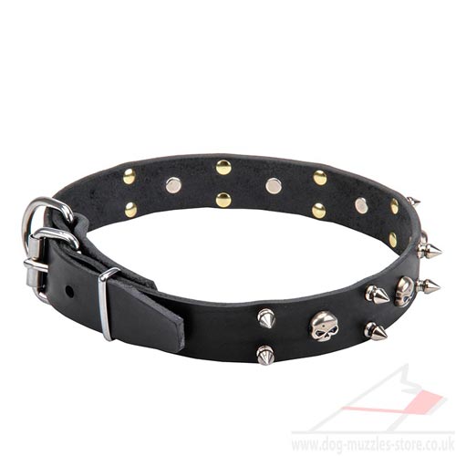 Unusual Dog Collar UK