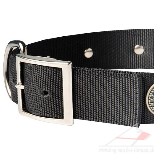 Designer dog collar vintage style