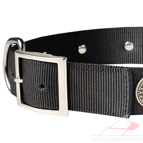 Staffie Collar