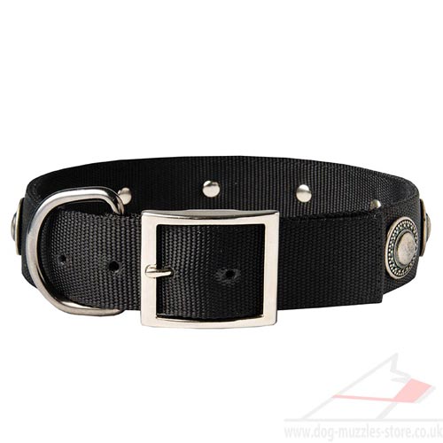 designer dog collar UK