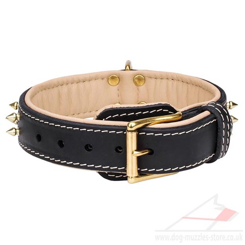 Soft Padded Leather Dog Collar