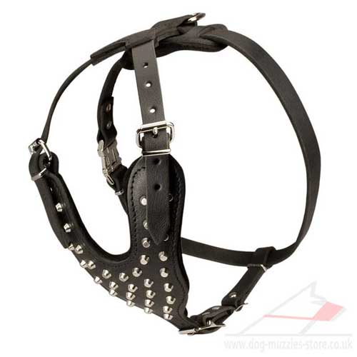 padded dog harness