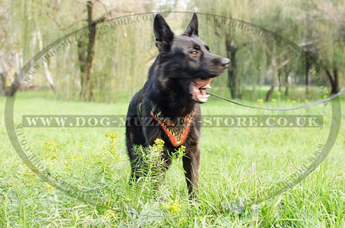 German Shepherd harness