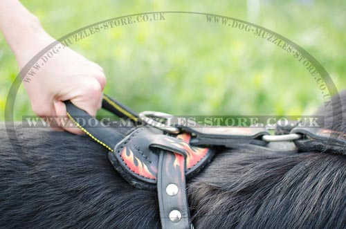 German Shepherd Training Dog Harness