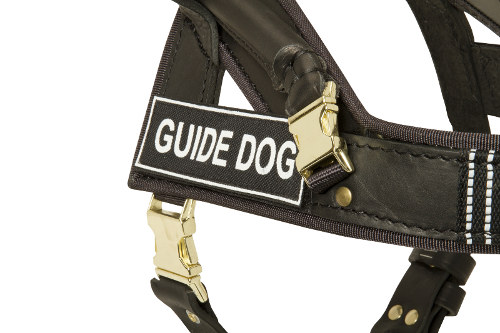 nylon dog harness