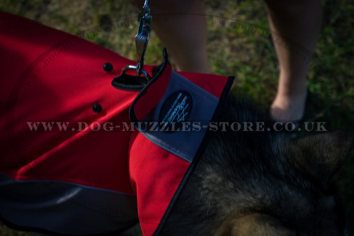 Husky Dog Jacket Harness for Winter