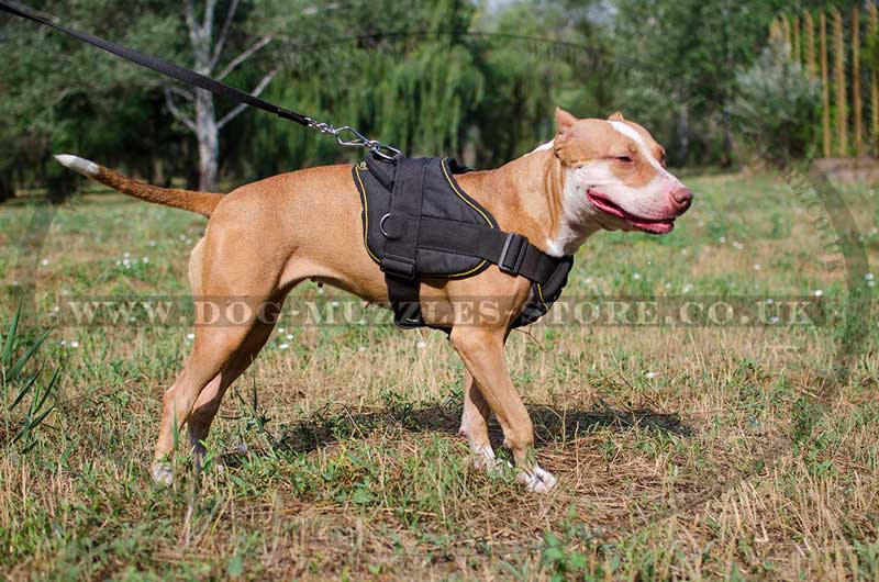 Pitbull Harness with Handle Nylon Dog Harness for Pitbull