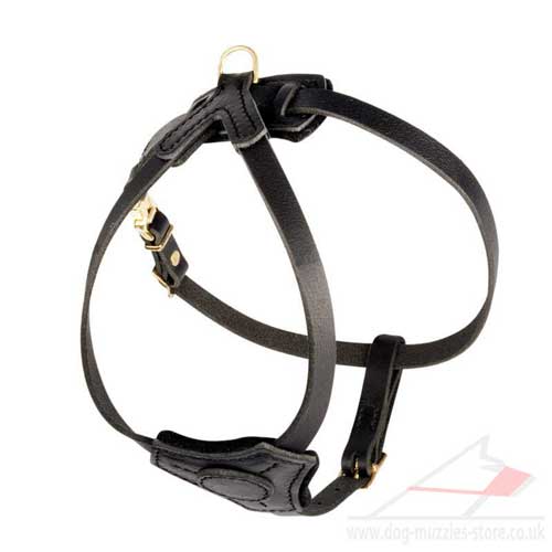 springer spaniel dog harness