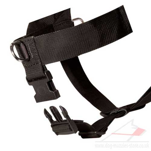 Nylon Dog Harness to Stop Dog Pulling