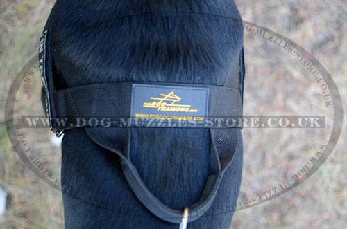 anti pulling dog harness with handle