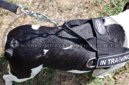 small dog harness to stop pulling