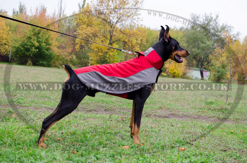 Doberman Dog Coats Winter