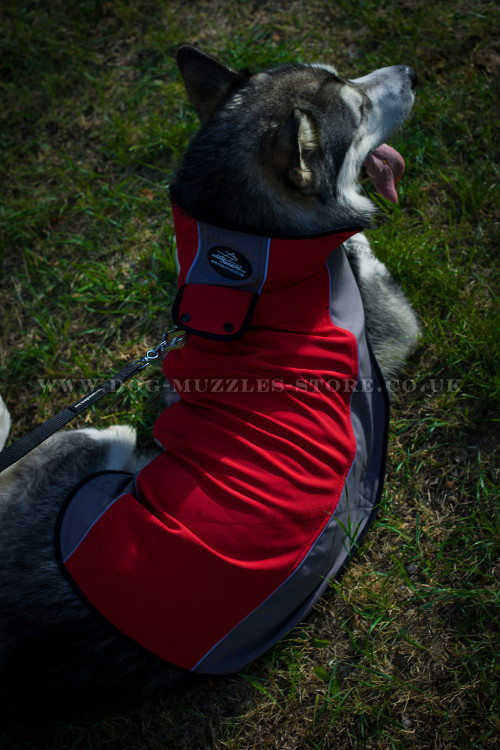 Husky Dog Apparel
