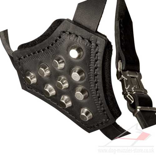 best small dog harness