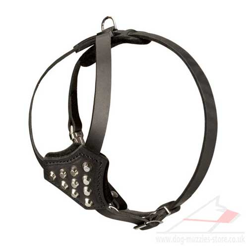 Genuine Leather Dog Harness for French Bulldog