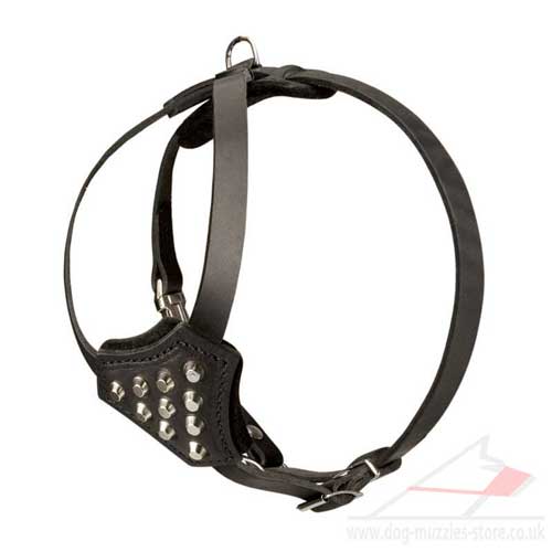 studded dog harness for small dog