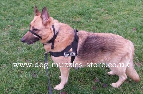 Buy German Shepherd harness uk