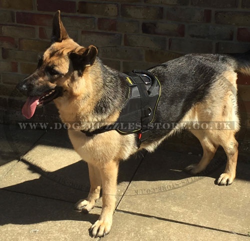 german shepherd harness for dogs