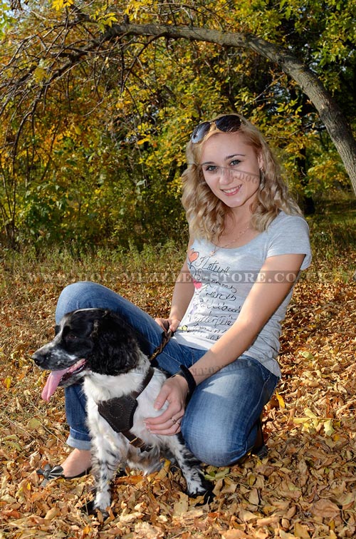 Springer Spaniel Walking Harness for Dogs