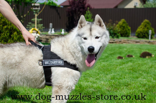 Husky harness with handle bestseller UK