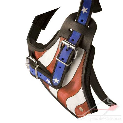 designer dog harness