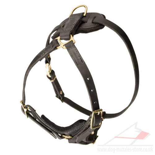 large dog harness