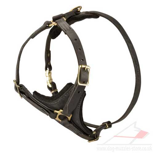 dog harness for sale