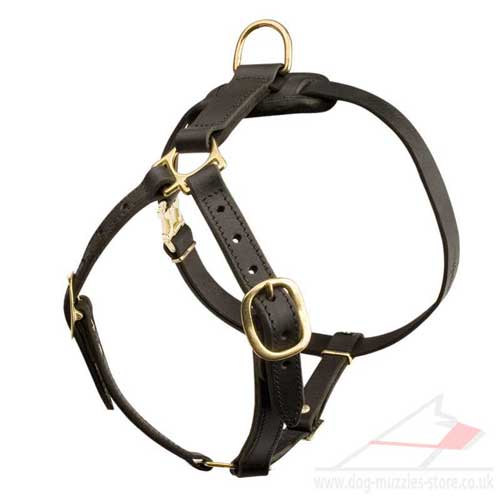 leather dog harness for sale