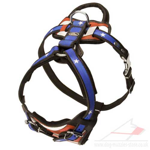 large dog harness