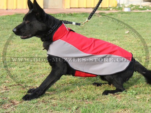 Warm Dog Coat for Large Dogs