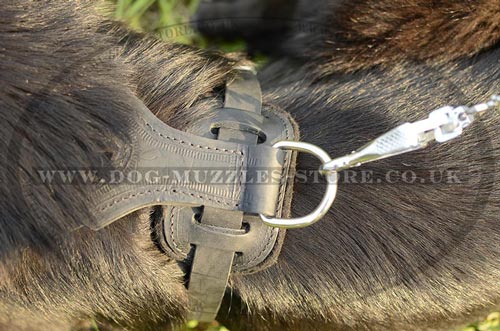 Padded Dog Harness for German Shepherd for Sale