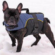 Buy French Bulldog Clothes: Warm Dog Harness with Carry Handle