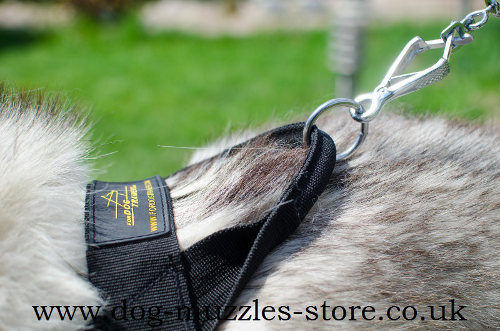 Siberian Husky Dog Harness