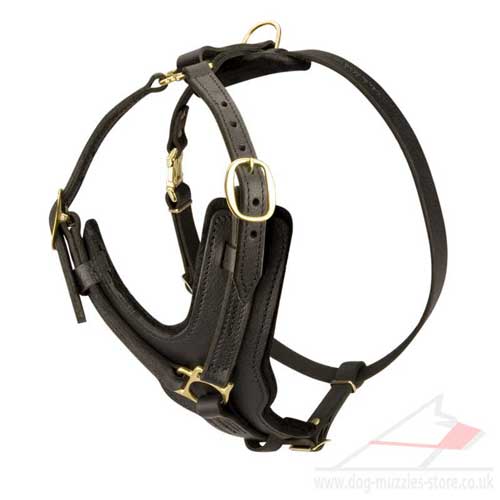 Leather Dog Harness for Akita