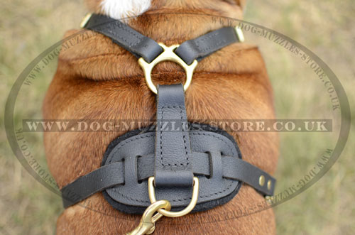 Padded Dog Harness