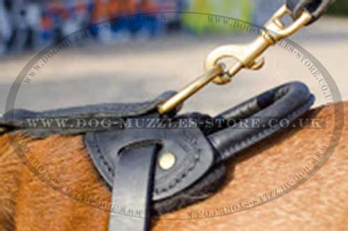 large dog harness for Dogue De Bordeaux