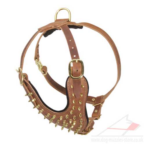 royal dog harness for large dog