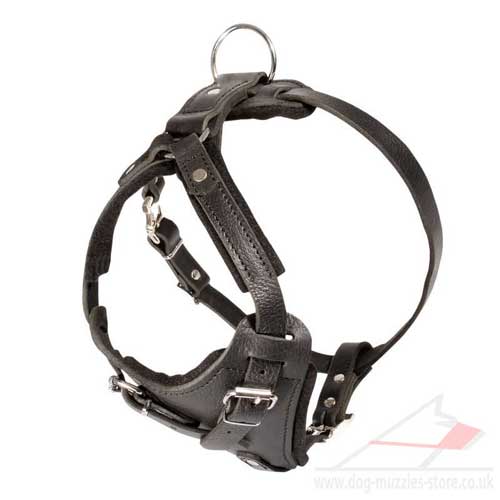 Padded Dog Harness