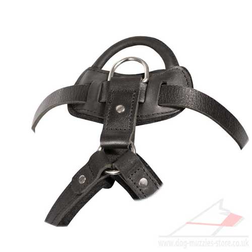 large dog harness with handle