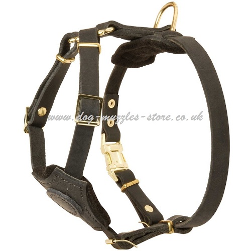 Little Dog Harness of Leather
