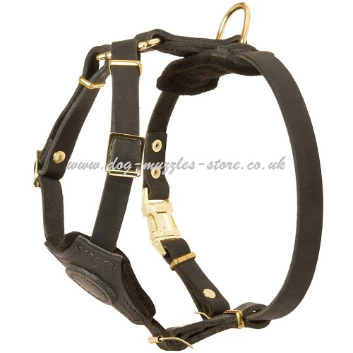 The Best French Bulldog Harness