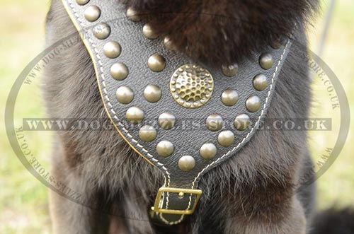 Designer Dog Harness for German Shepherd