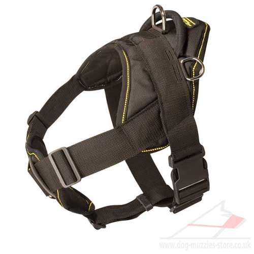 english bulldog dog harness